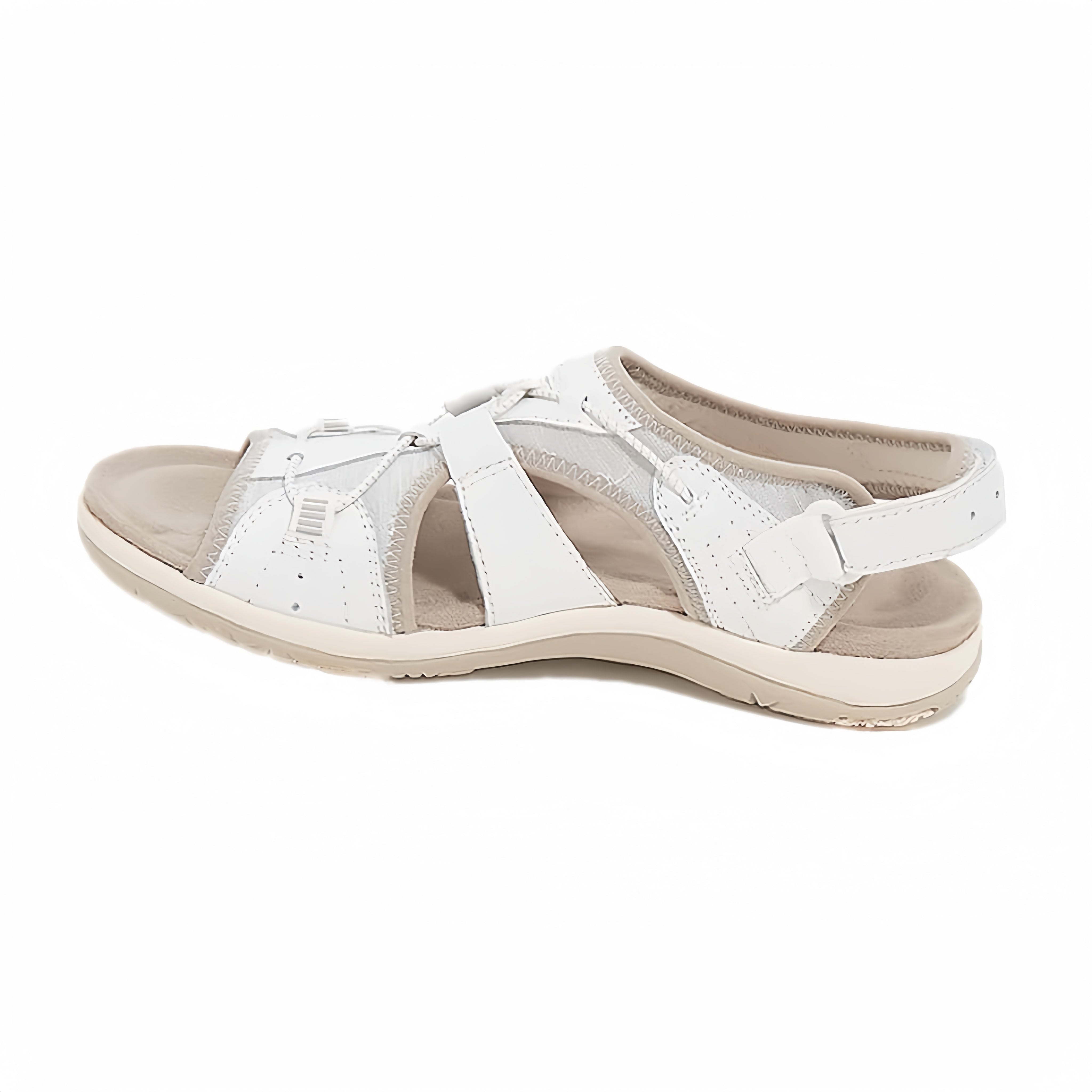 /6a105cbf87541900096505e6/2026/05/22/product-img-6a10624591ef3d0d28f40af8.png